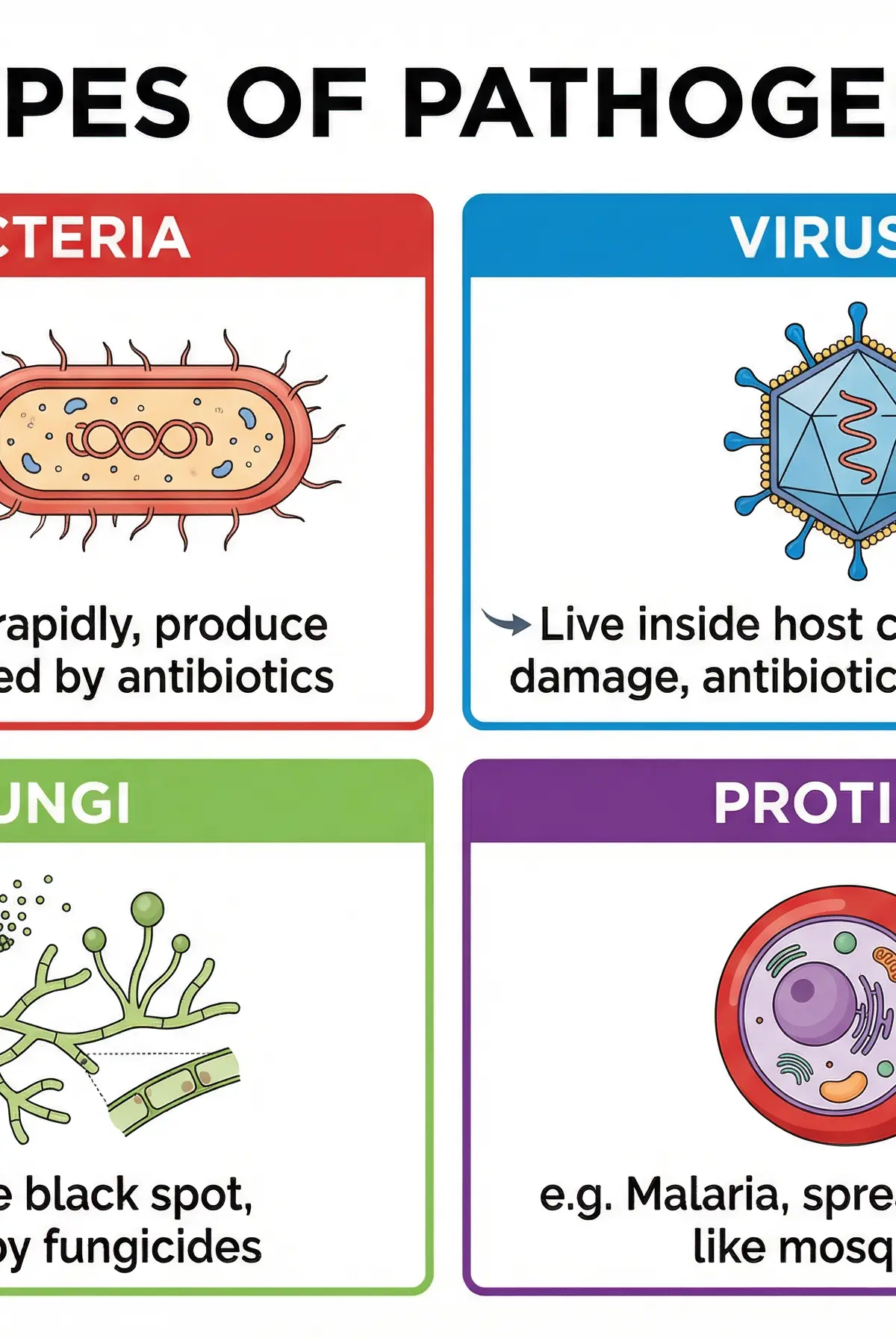 The Four Types of Pathogens