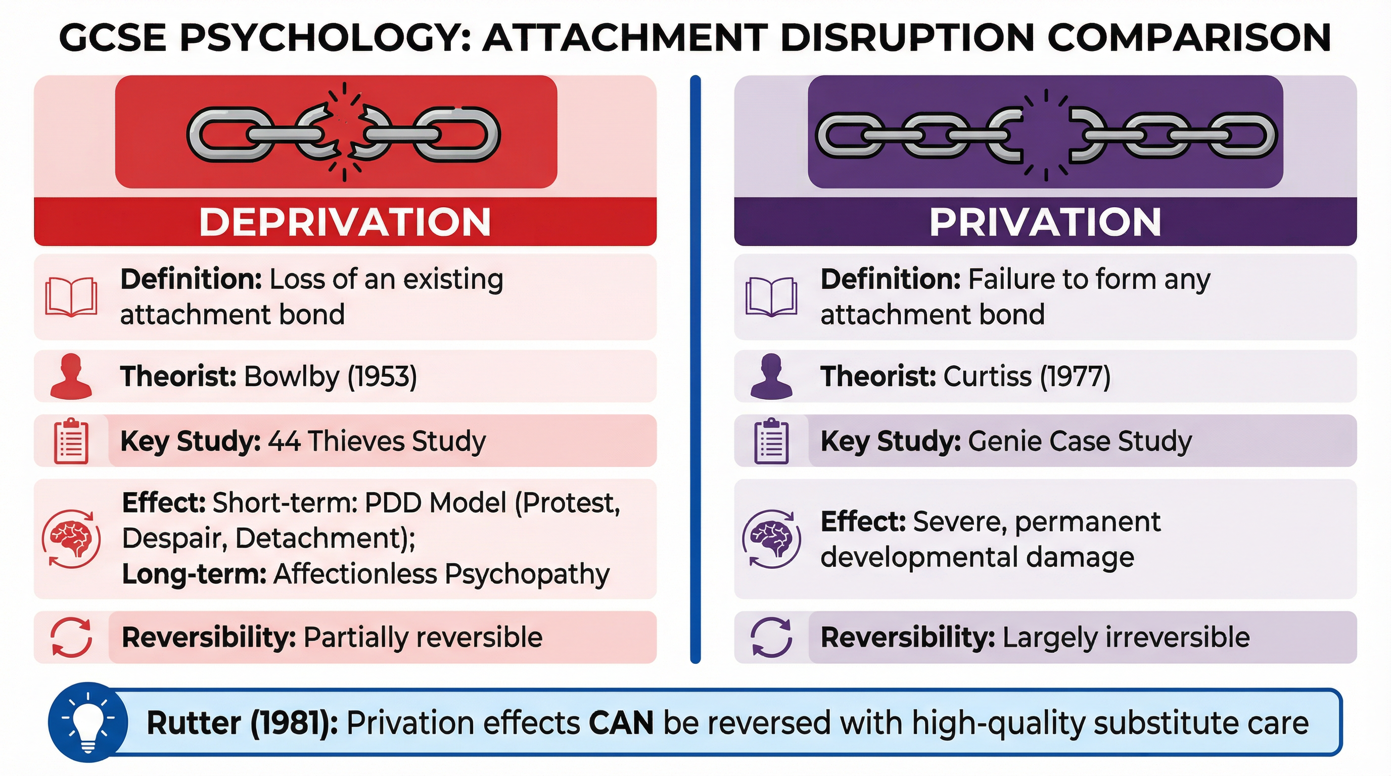 Deprivation and Privation – Psychology – GCSE