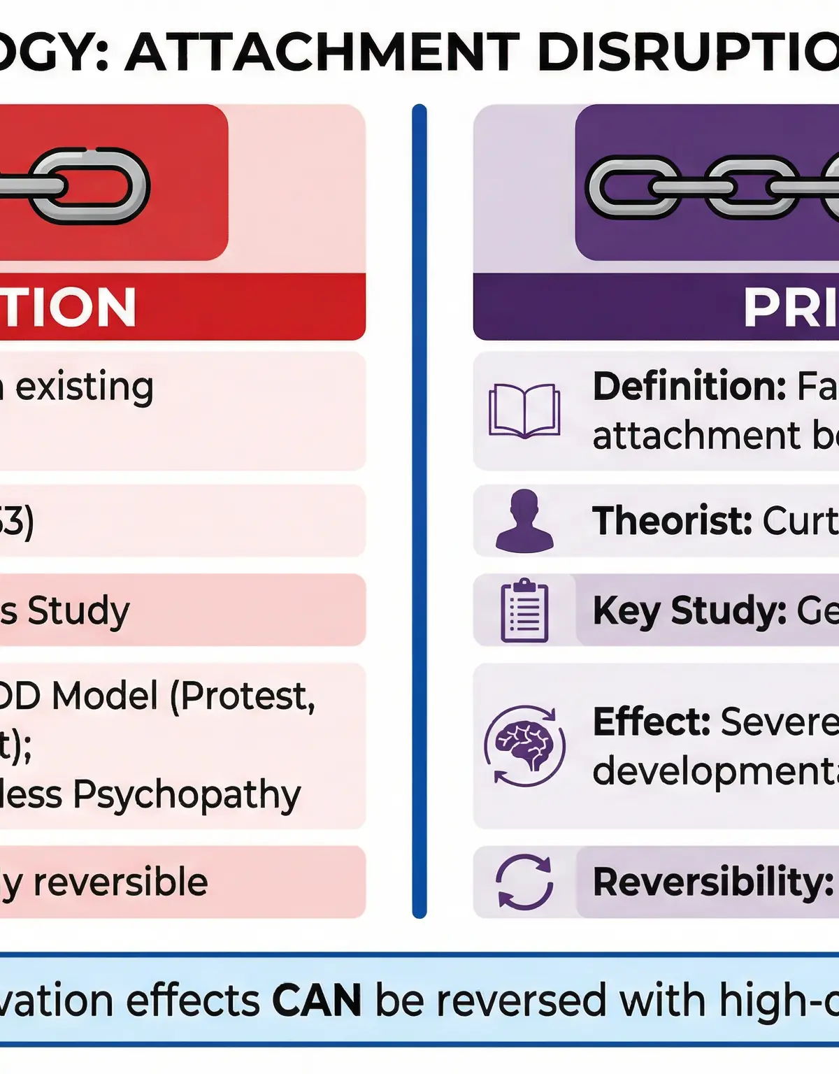 Deprivation and Privation โ Psychology โ GCSE