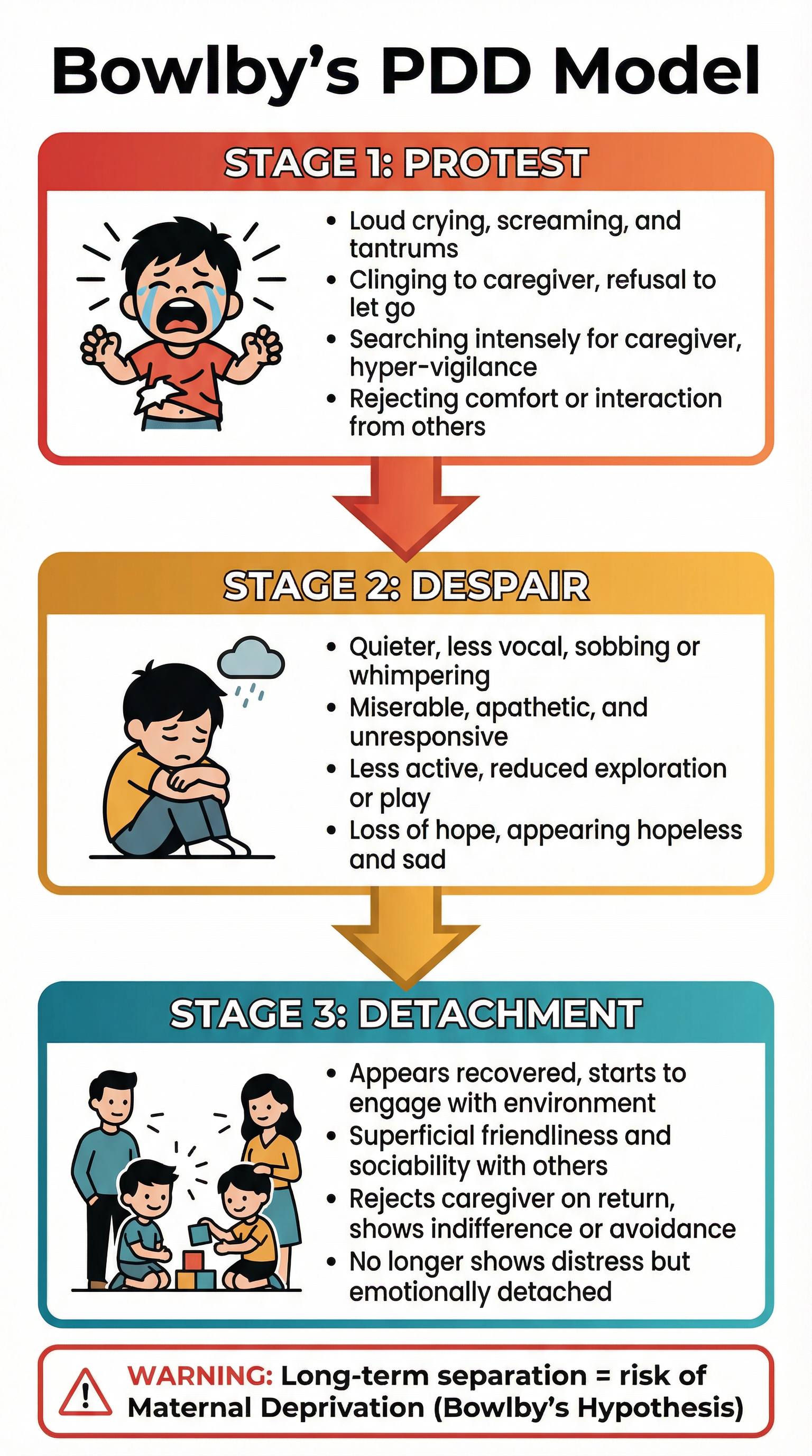 Deprivation and Privation – Psychology – GCSE
