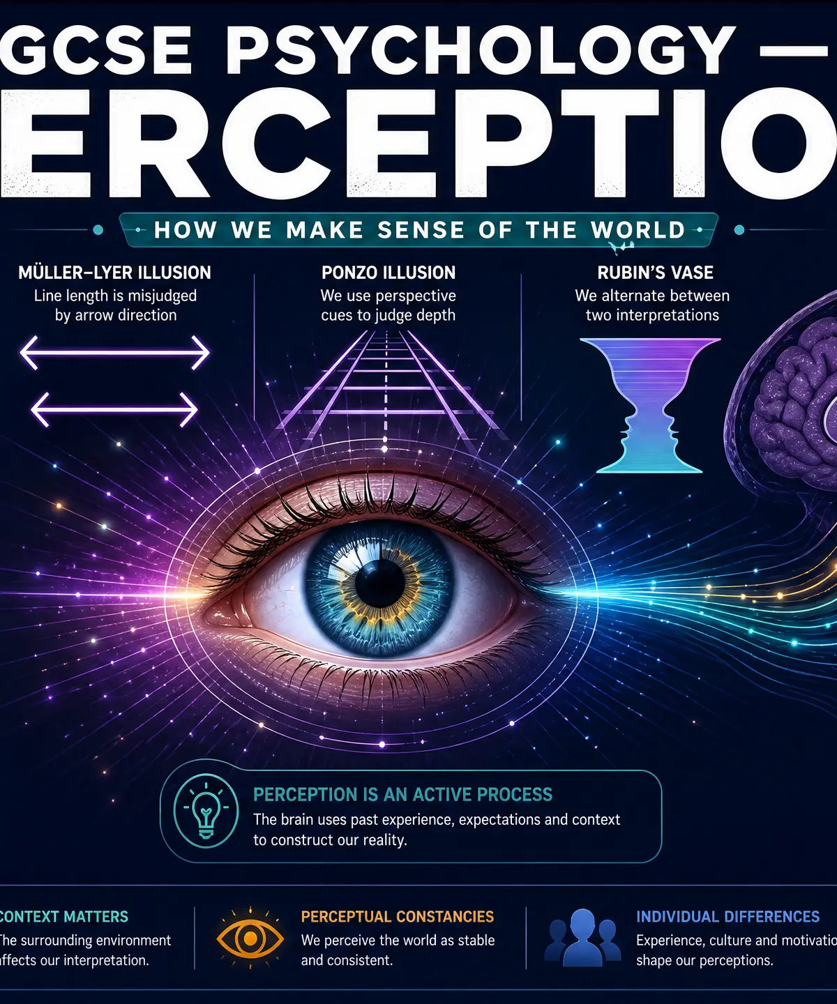 GCSE Psychology: Perception