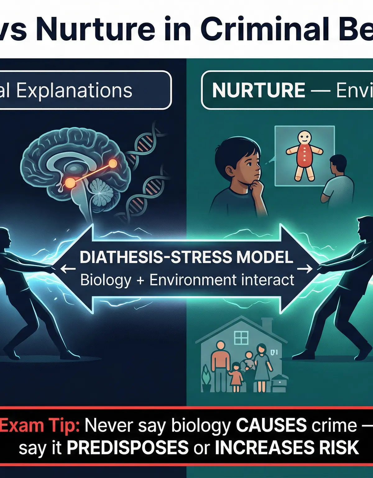 The Nature vs. Nurture debate, highlighting the Diathesis-Stress model.