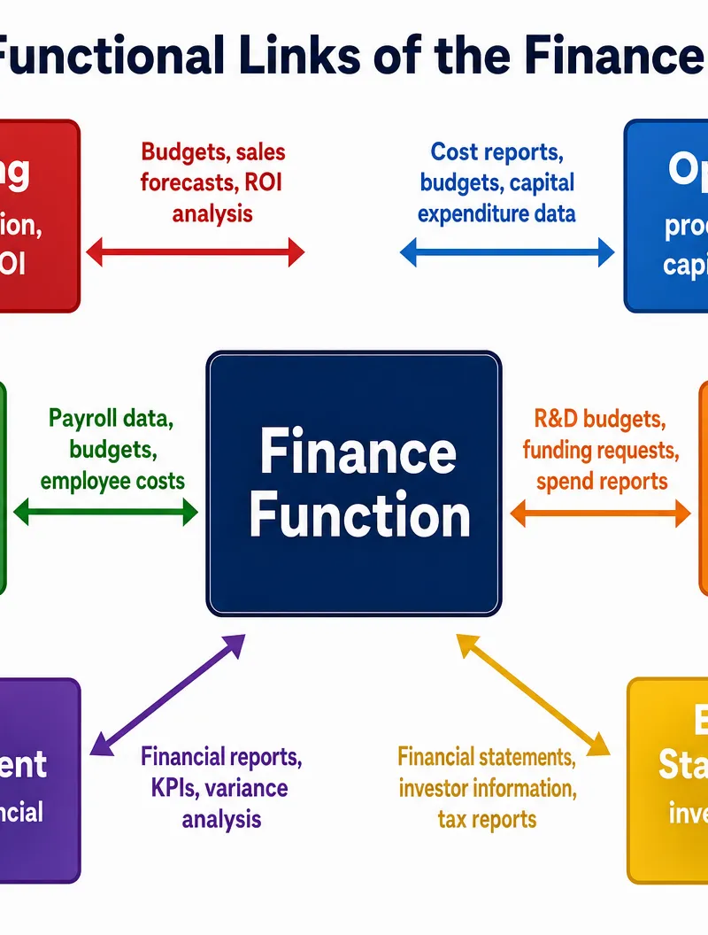 Cross-Functional Links of the Finance Function
