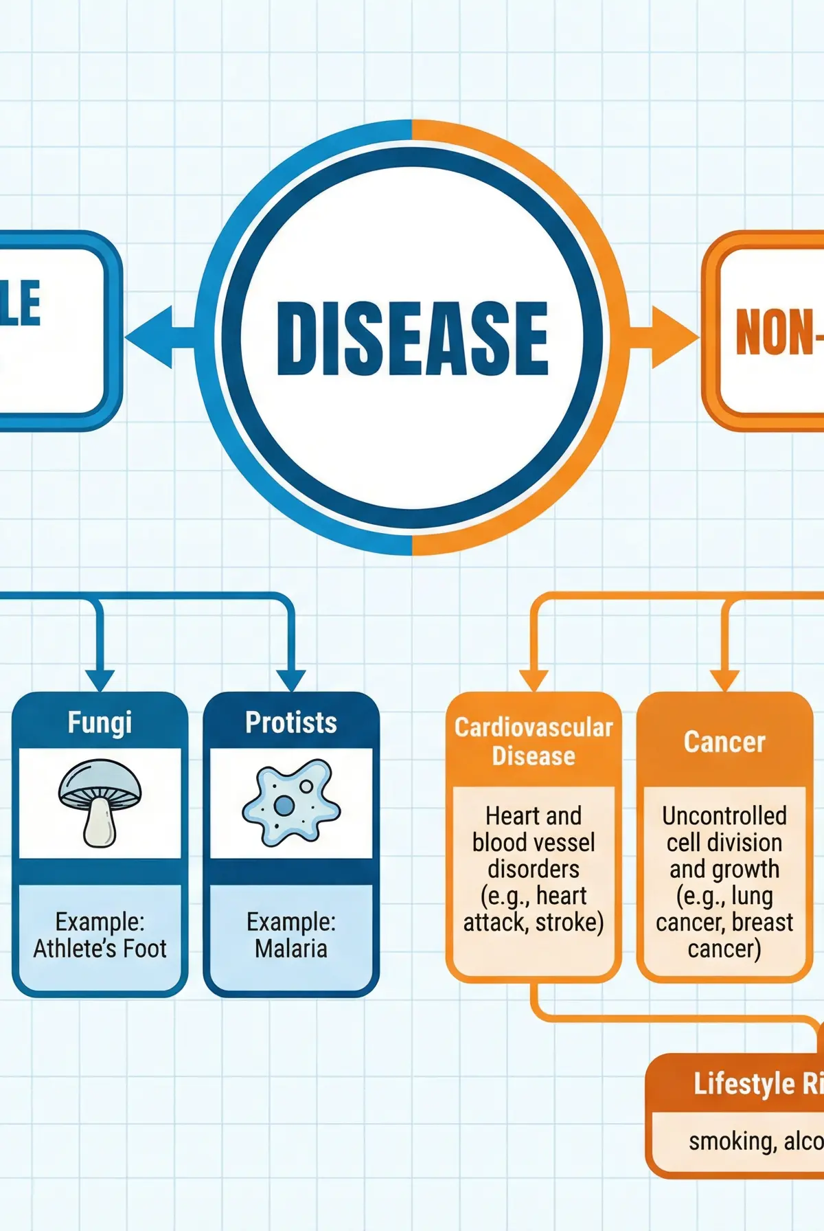 Classification of Diseases