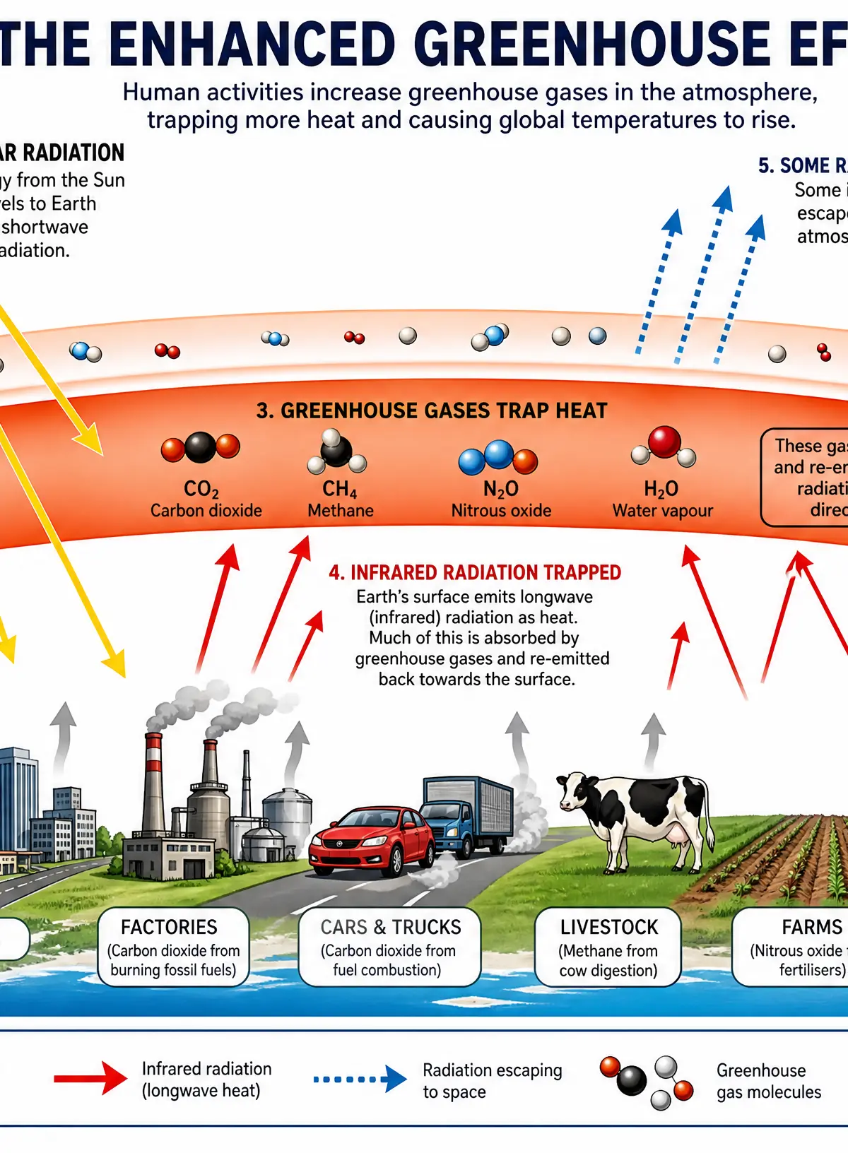 The Enhanced Greenhouse Effect Mechanism